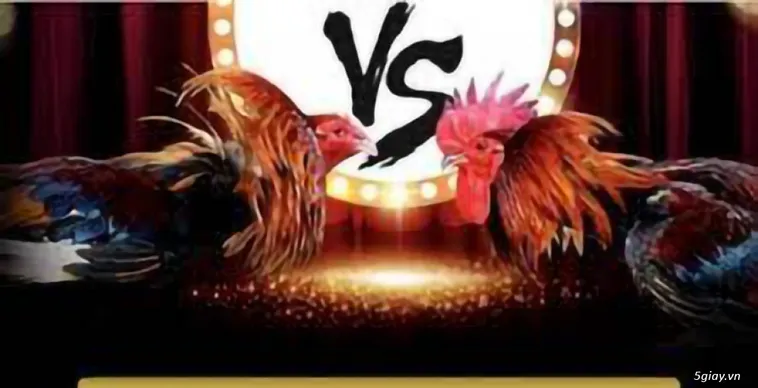 Trải Nghiệm Đá Gà Tydo88 Đỉnh Cao Nhận Thưởng Lớn Ngay Hôm Nay