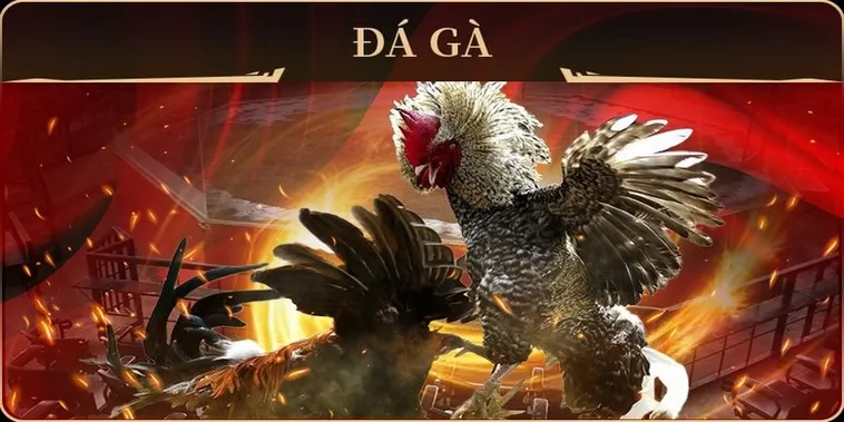 Chiến Thuật Cách Chơi Đá Gà GA28 Tại Tydo88 Chuyên Nghiệp Nhất