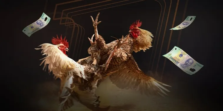 Trải Nghiệm Đá Gà Tydo88 Đỉnh Cao Nhận Thưởng Lớn Ngay Hôm Nay